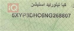 كيا تيلوريد